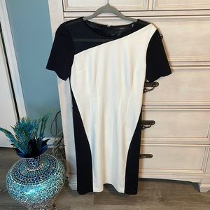 Tahari Emory cute Dress with mesh accents size 4